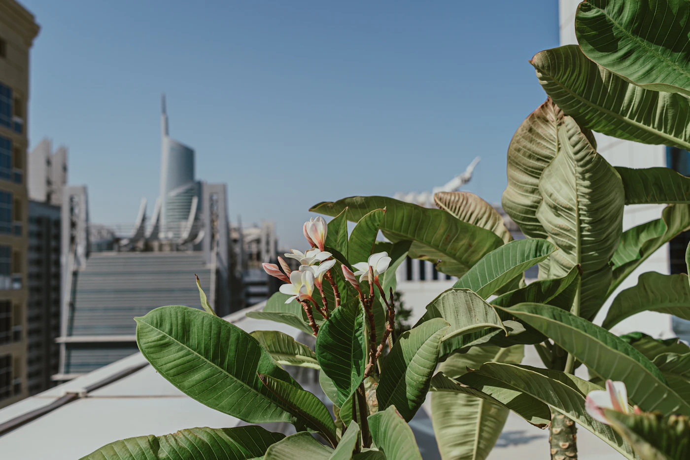 Aluminium pergola louvre detail with adjustable blades