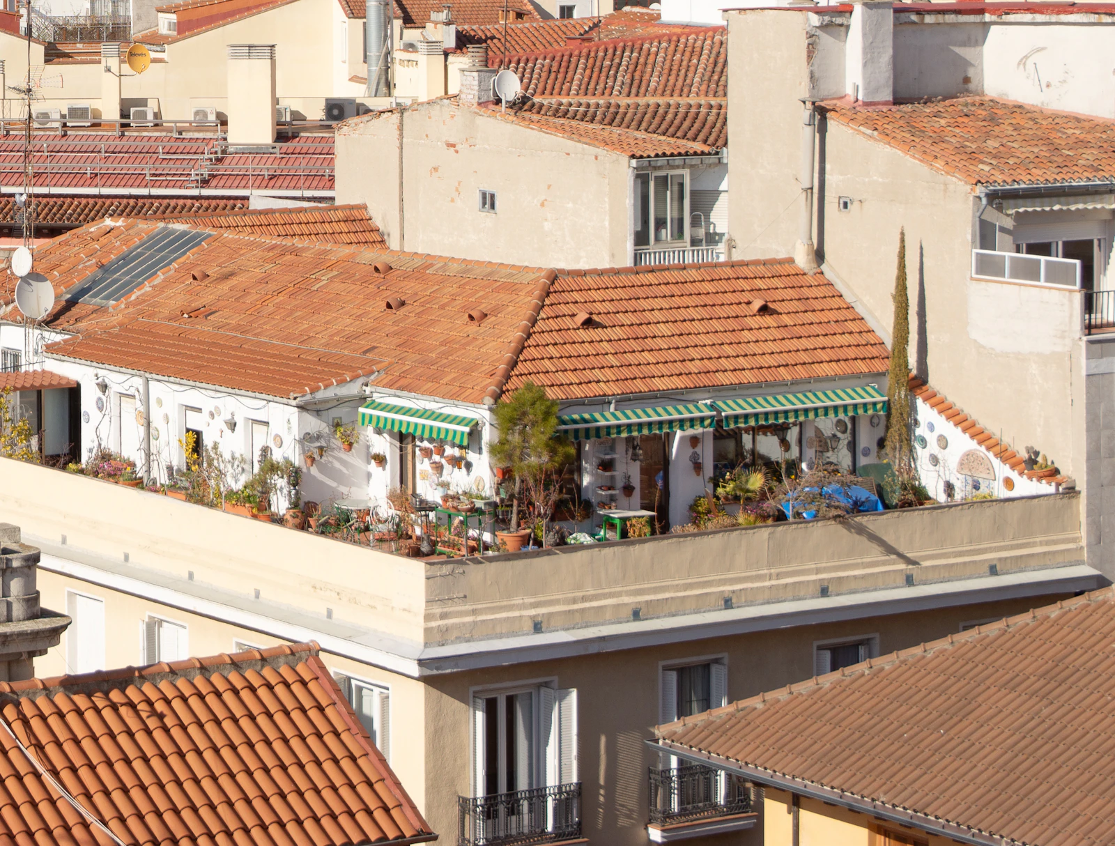 Penthouse terrace with pergola and city view