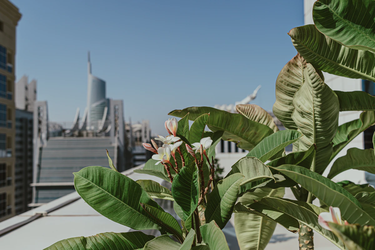 Outdoor commercial terrace